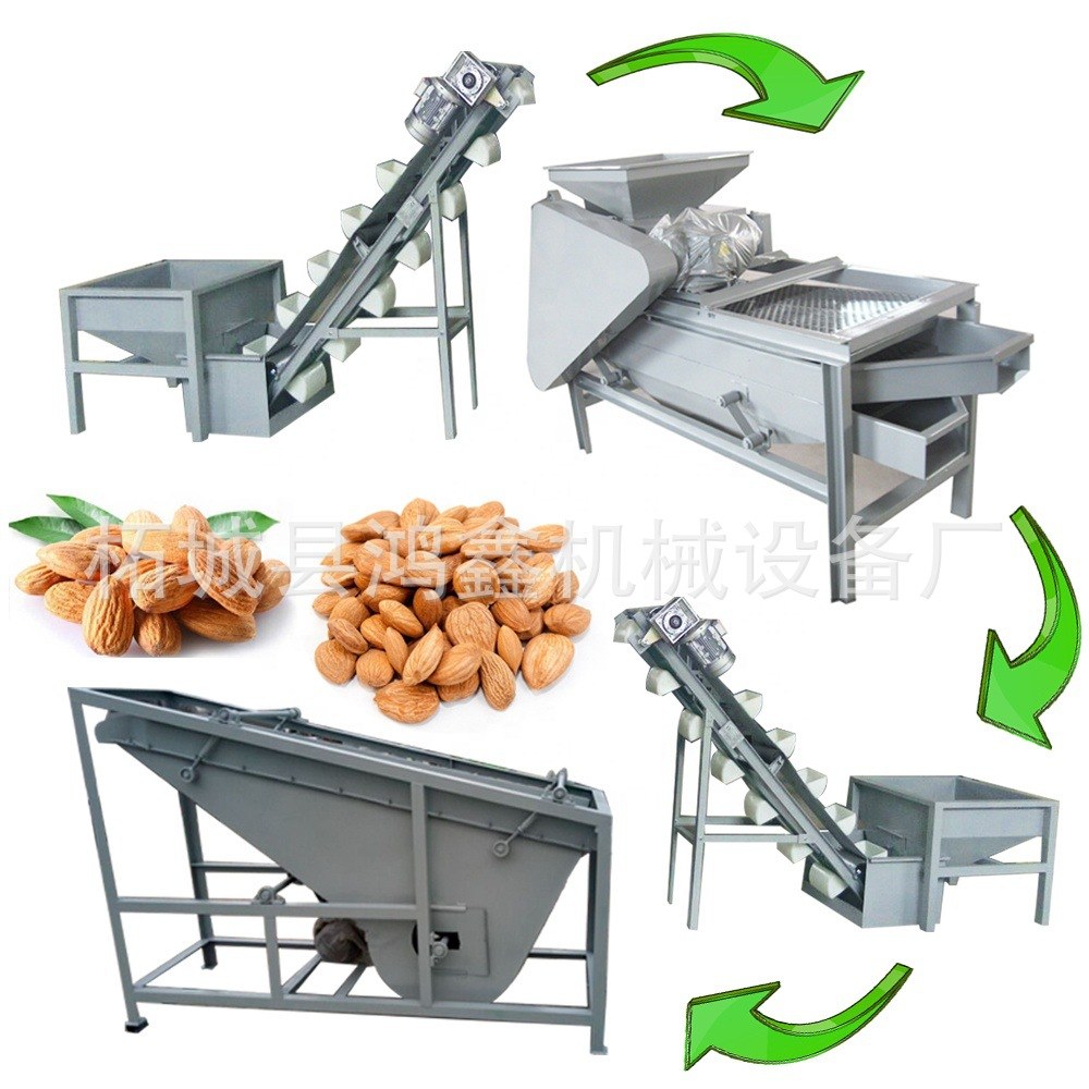 Almond Processing Line procurement report image 3