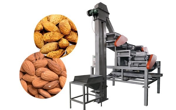 Almond Sheller procurement report image 1
