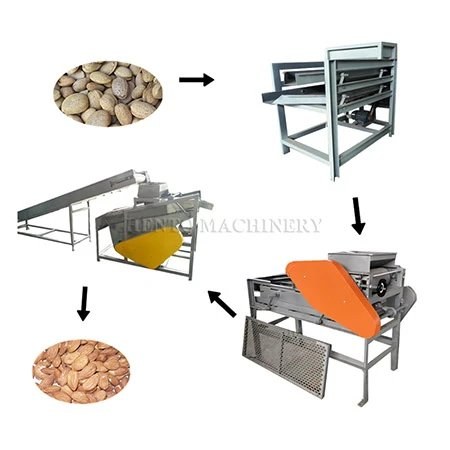 Almond Sheller procurement report image 14