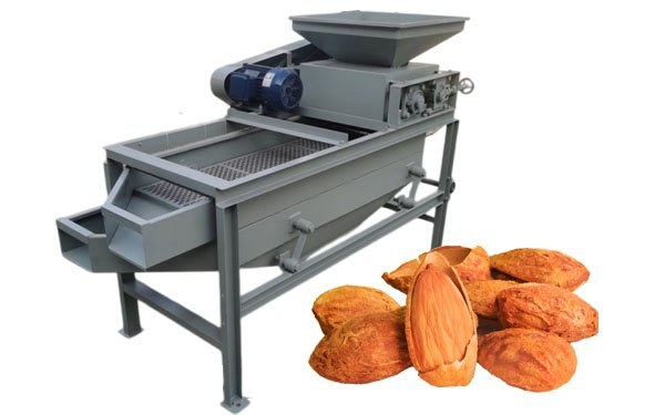 Almond Sheller procurement report image 15