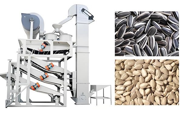 Almond Sheller procurement report image 9