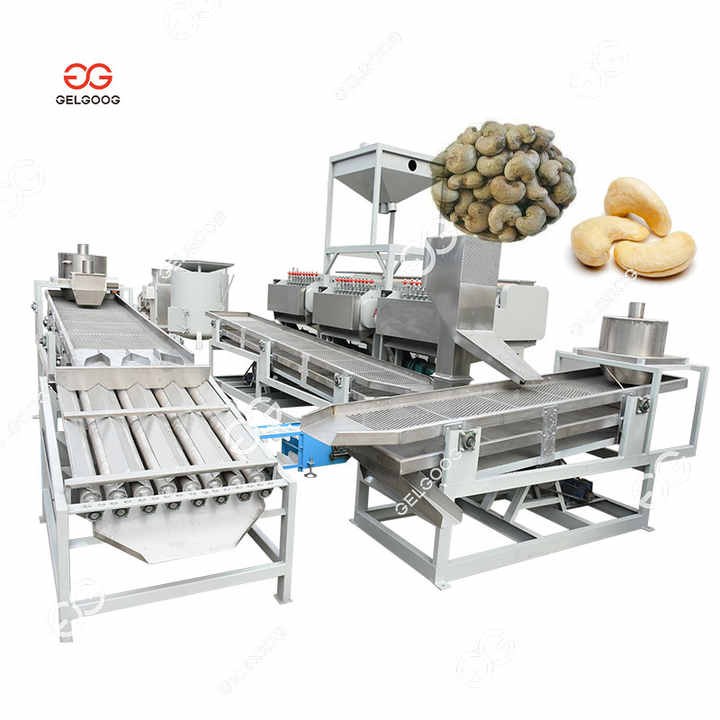 Cashew Processing Line procurement report image 1