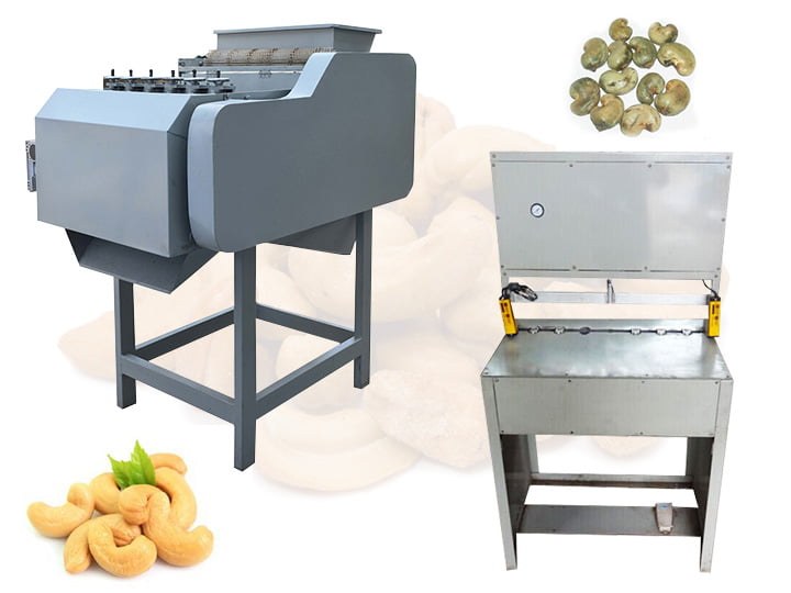 Cashew Processing Line procurement report image 4