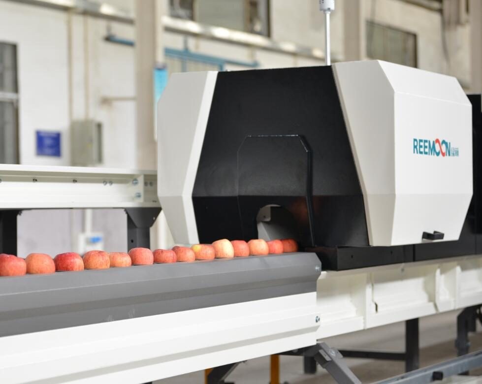 Color Sorter procurement report image 6
