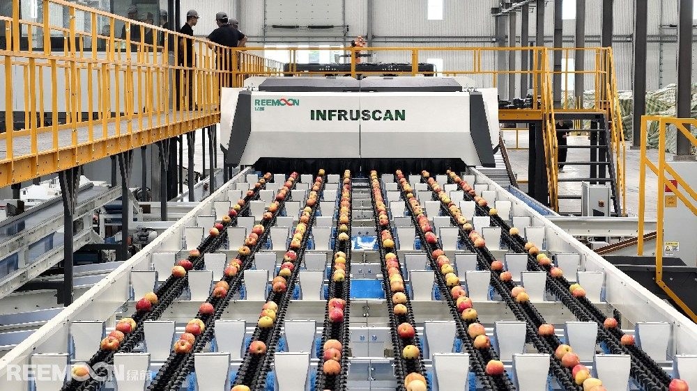 Color Sorter procurement report image 7