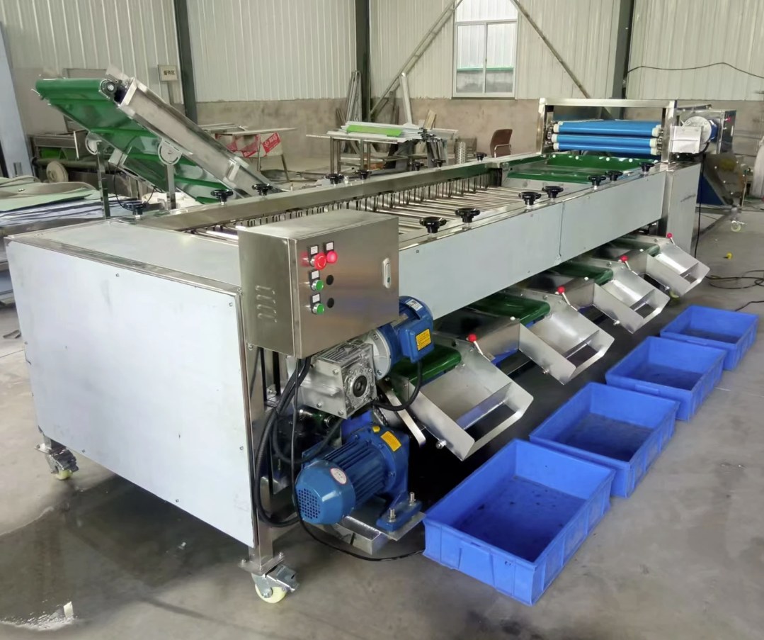 Drum Grader procurement report image 2