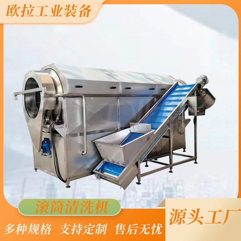 Drum Washer procurement report image 3