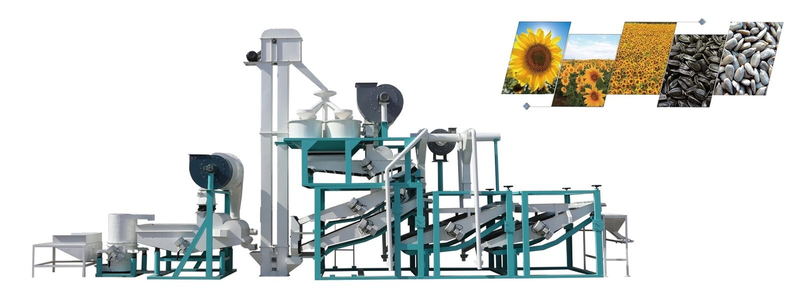 Hazelnut Sheller procurement report image 2