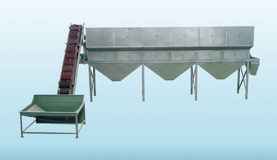 Macadamia Processing Line procurement report image 4