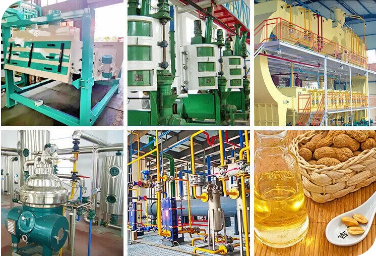 Peanut Processing Line procurement report image 3