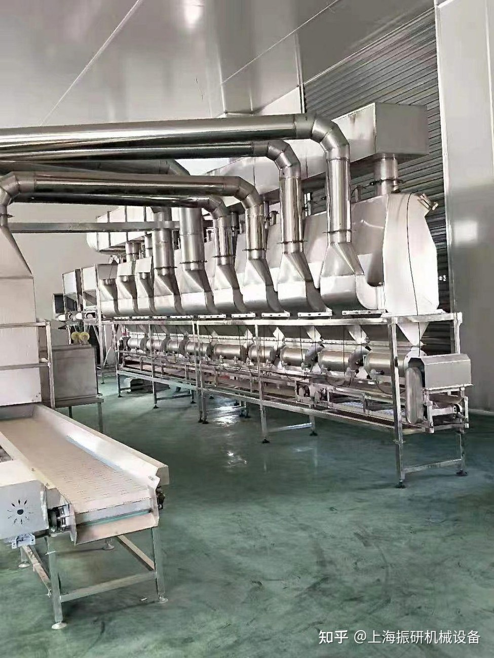 Walnut Processing Line procurement report image 1