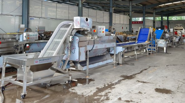 Walnut Processing Line procurement report image 5