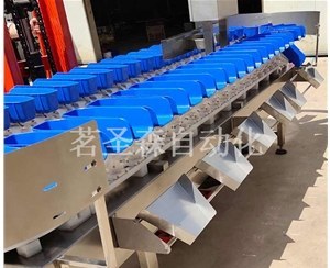 Weight Grader procurement report image 10