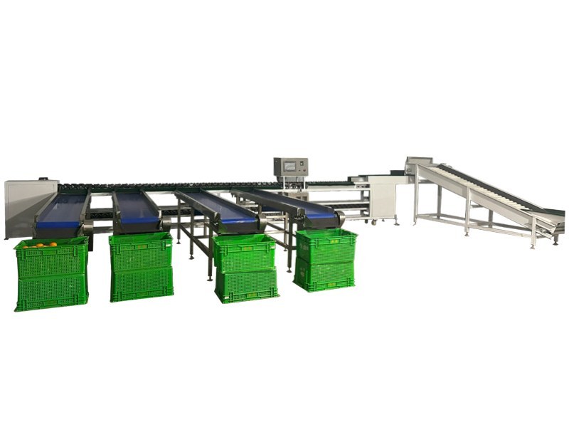 Weight Grader procurement report image 4