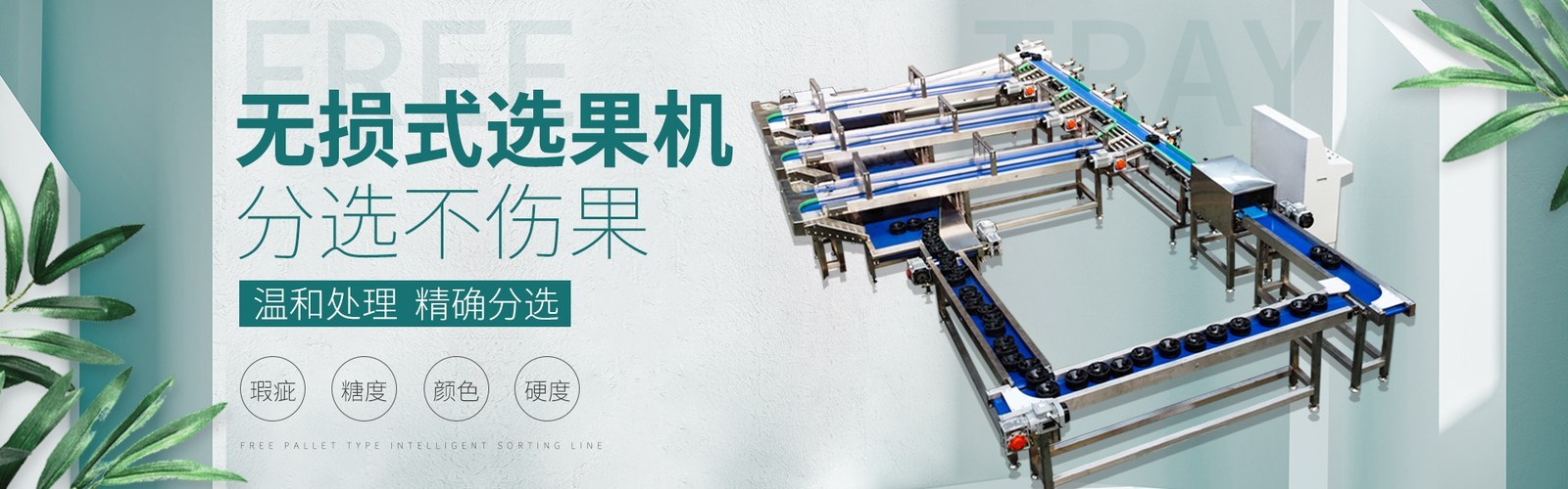 Weight Grader procurement report image 5