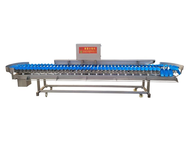 Weight Grader procurement report image 6