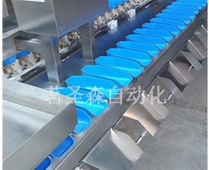 Weight Grader procurement report image 8